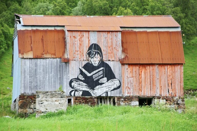 Et blikkskur med grafittikunst i skogkanten.